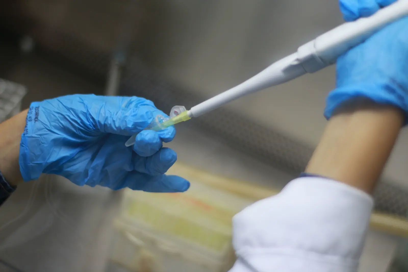 Gloved hands pipetting into a tube inside a laboratory cabinet.