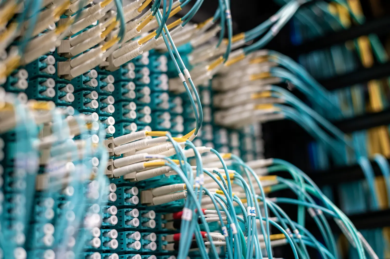 Fibre patch cables seated in a dense patch panel.